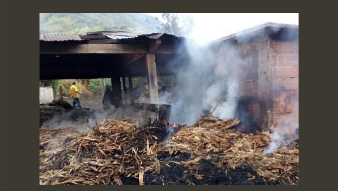 A member of the Emberá Chamí People checks out the burned trapiches, a very small, artisanal place to process the sugar into unrefined natural sugar or panela, in the resguardo of Cañamomo-Lomaprieta. (Photo: Yeison Aguirre)