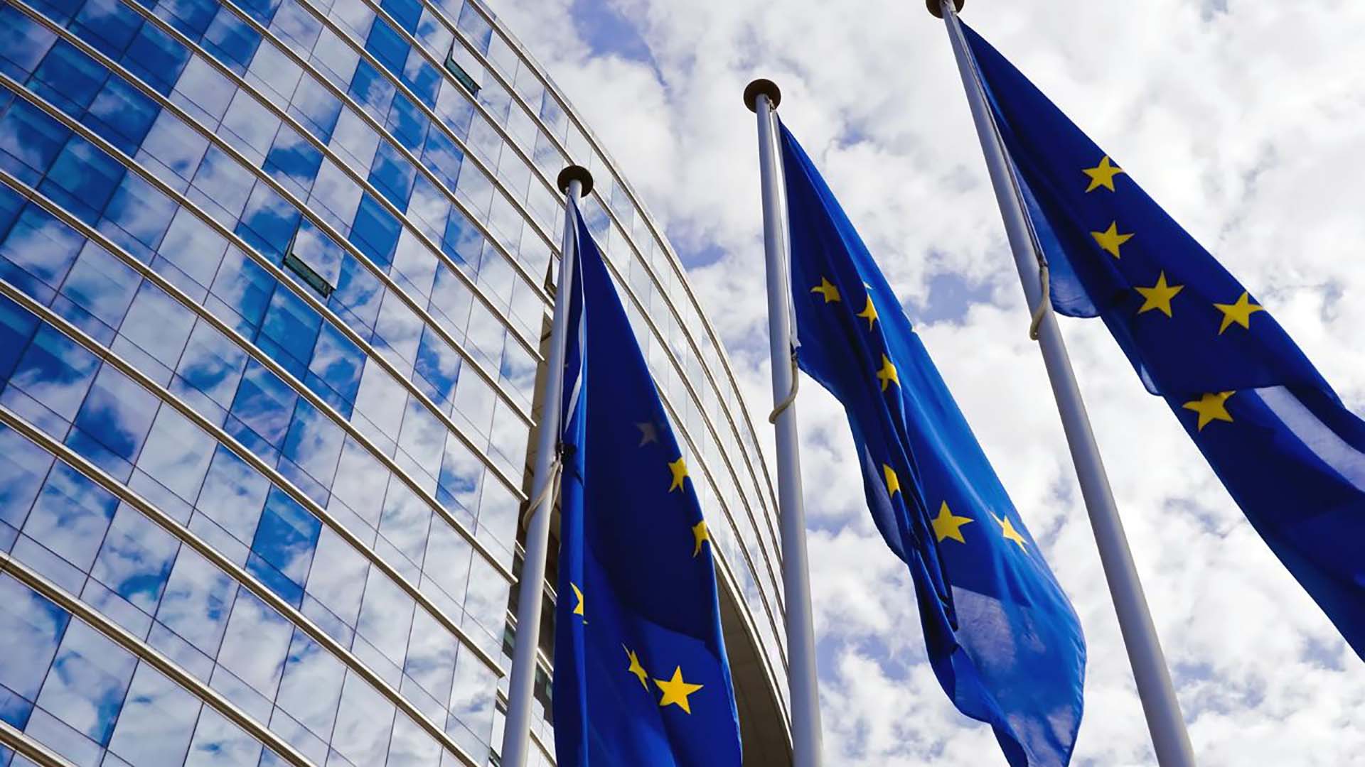 Call for inputs: European Union’s Proposed Law on mandatory human rights and environmental due diligence corporations to respect human rights