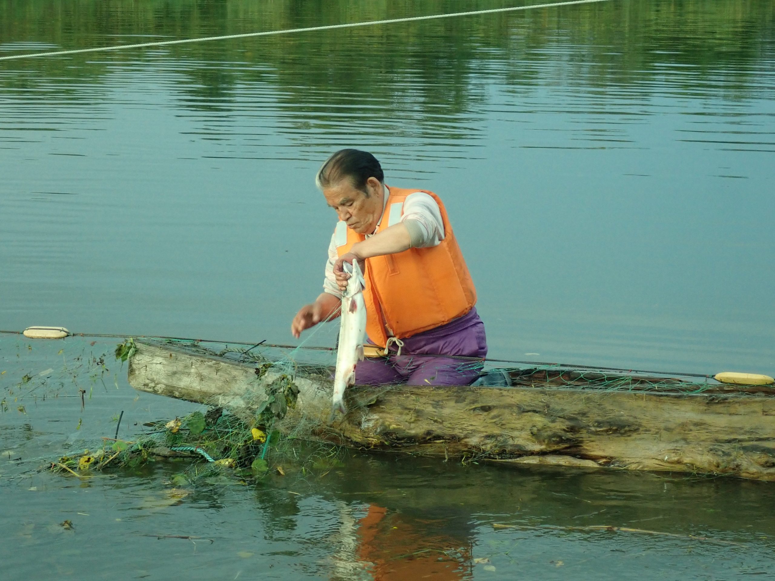 Hatakeyama Satoshi catching salmon. Photo by Yousuke Kosaka, 1 September, 2018.