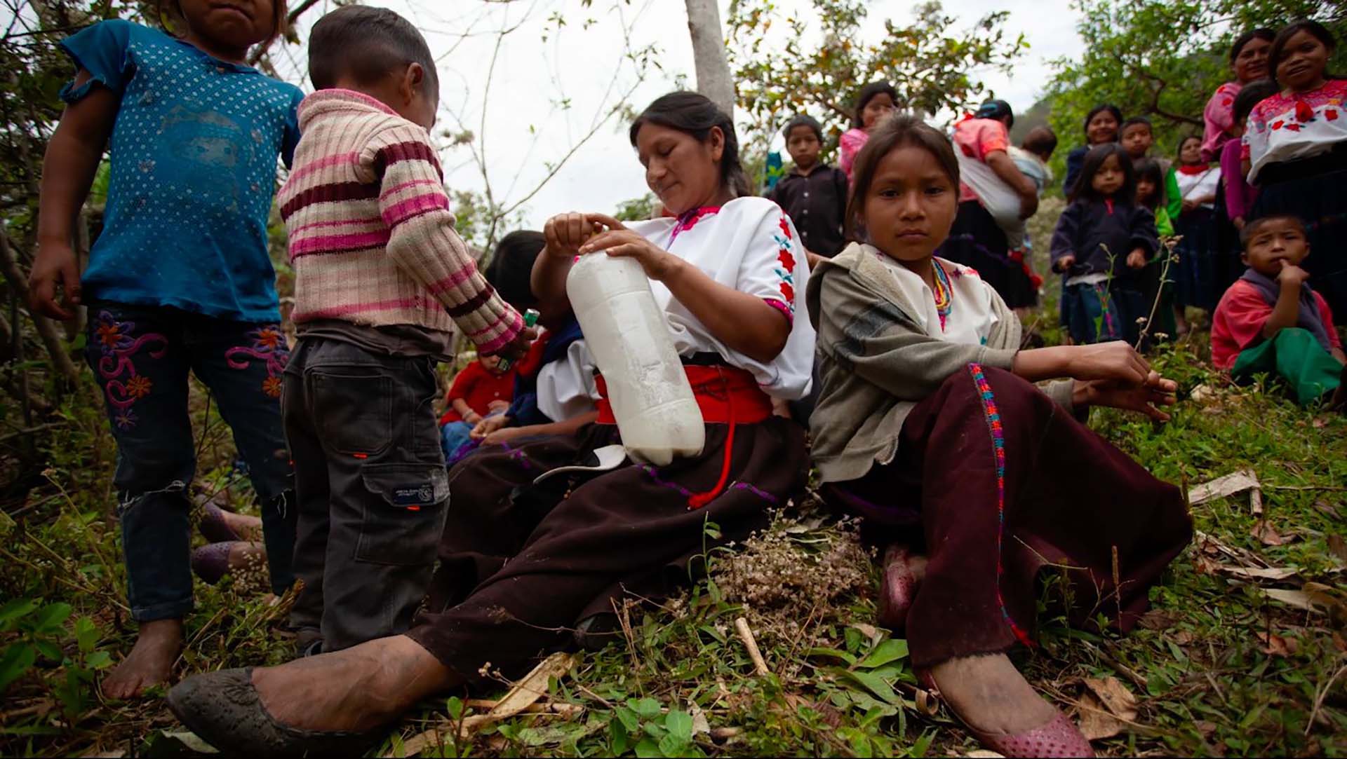 MEXICO || IPRI Requests The Mexican State To Carry Out Effective Actions To Stop Aggressions By An Armed Group Against An Autonomous Community In Chiapas