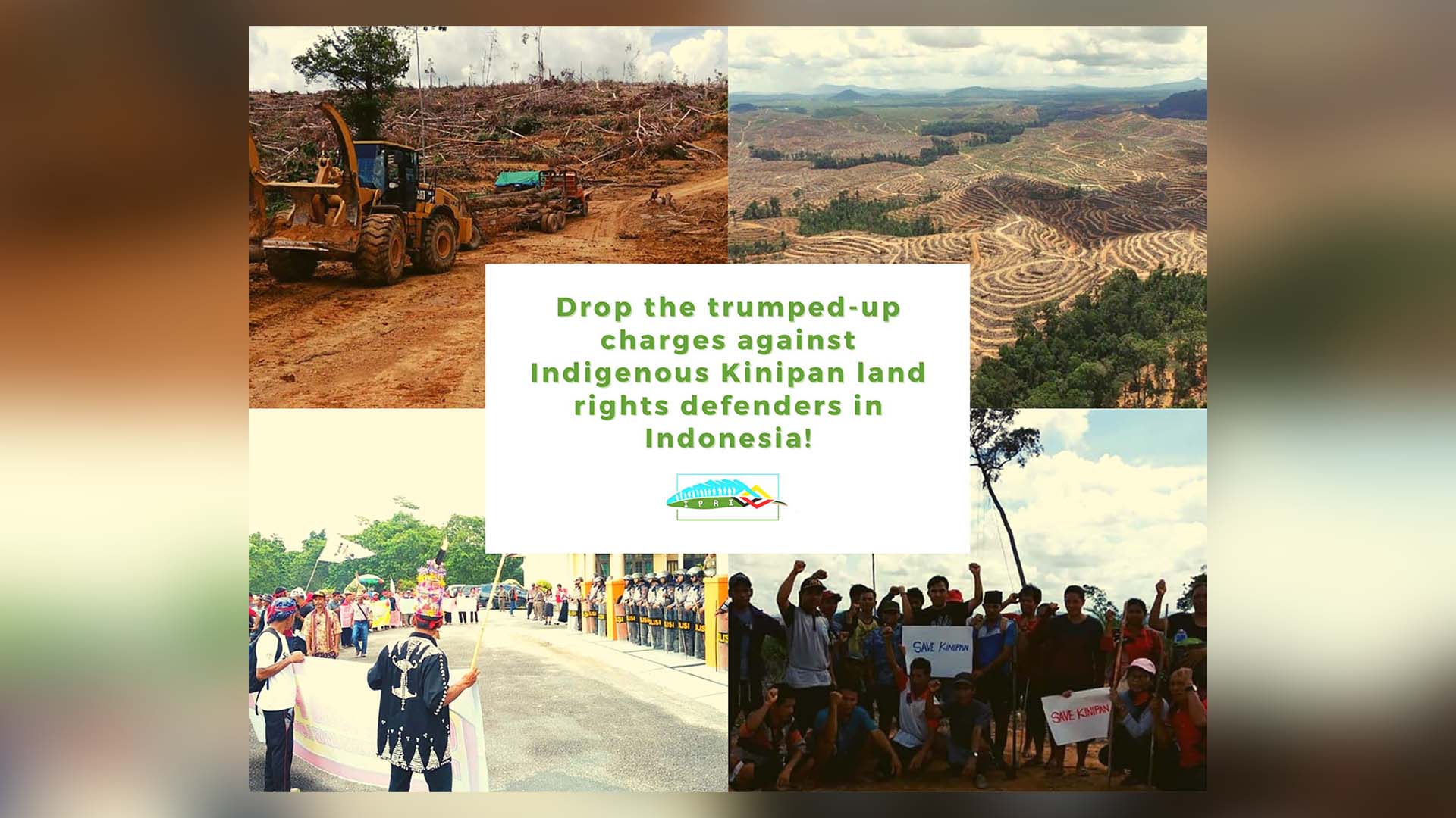 Sign the Petition: Drop the Trumped-up Charges Against Indigenous Kinipan Land Rights Defenders in Indonesia