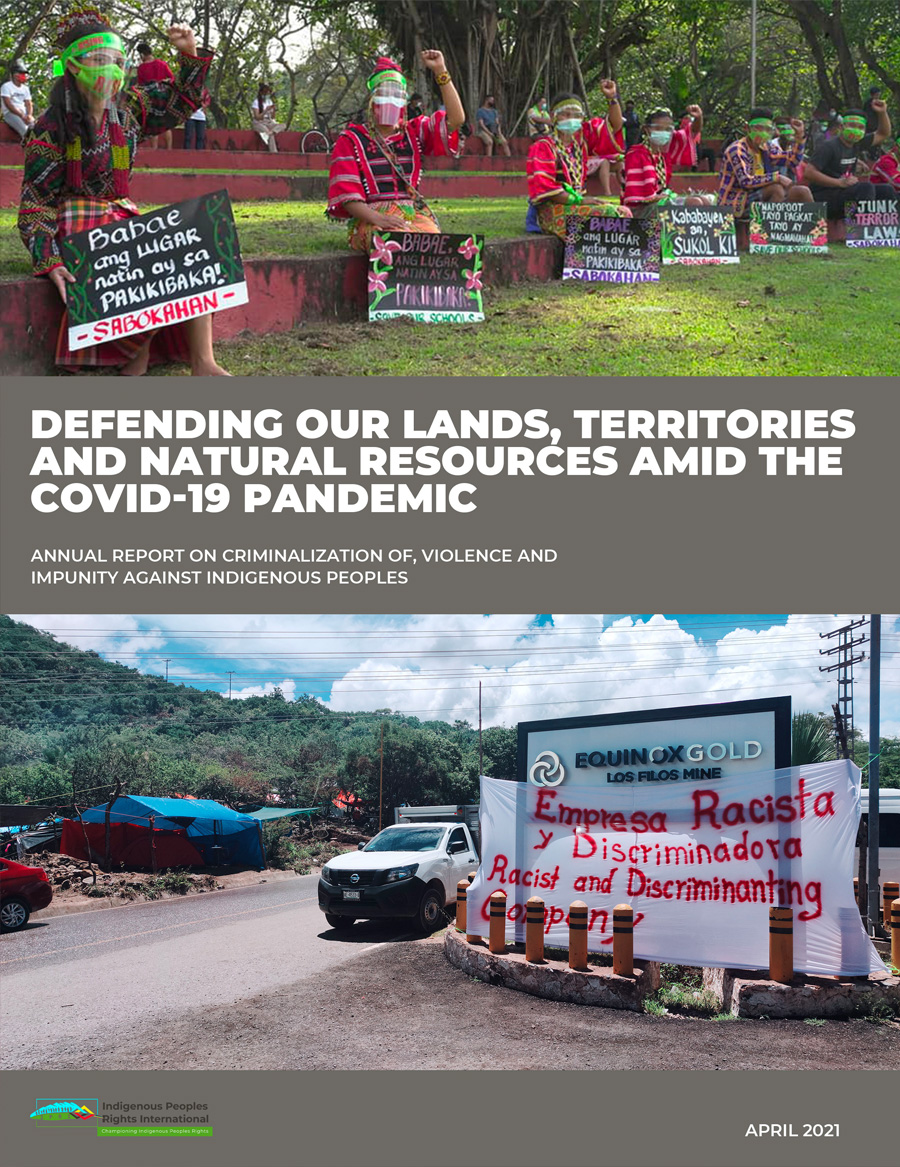 Defending Our Lands, Territories and Natural Resources amid the COVID-19 Pandemic: Annual Report